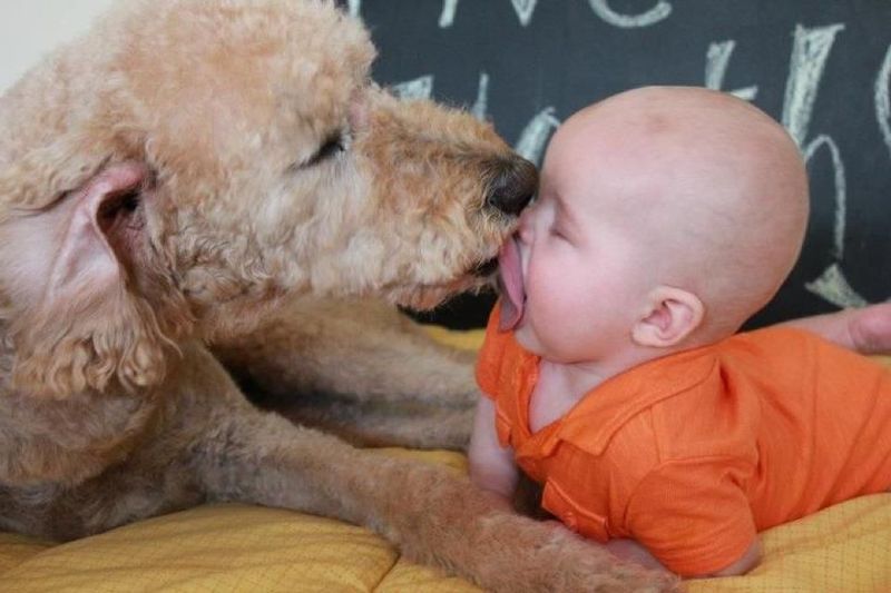 También el amor te puede enfermar