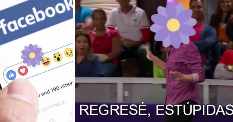 Regreso la flor de Facebook y con ella los mejores memes