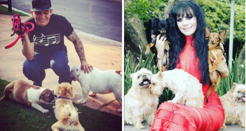 AWW! Estas son las mascotas de los famosos