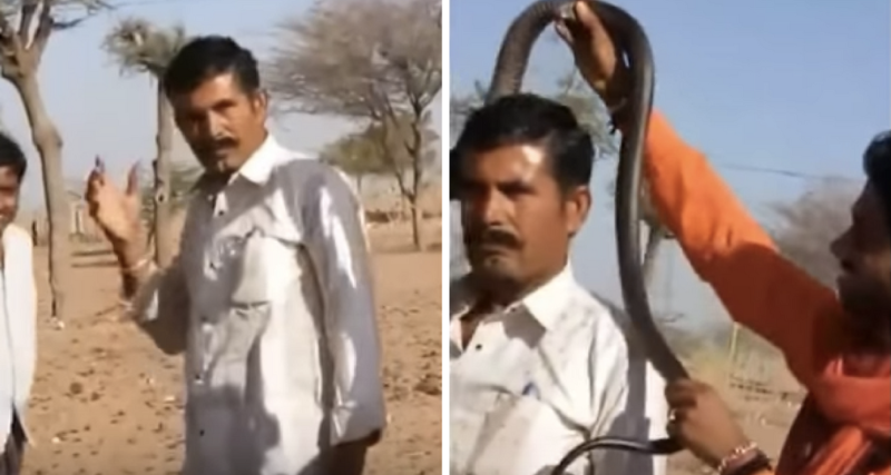 ¡Por tomarse una selfie con una cobra muere este hombre!