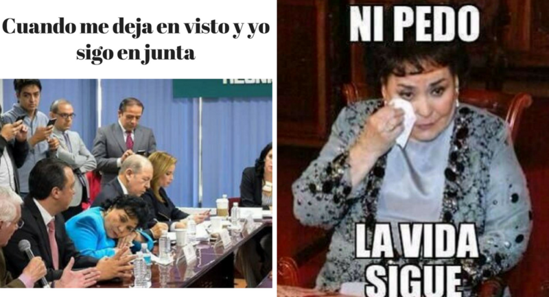 Los MEJORES memes de Carmelita Salinas