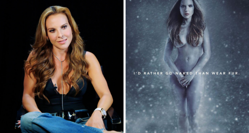 ¡Kate del Castillo lanzará nueva serie!