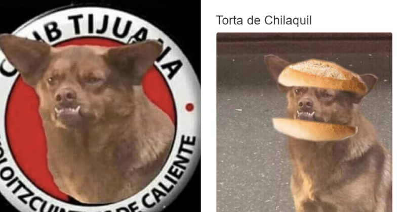 JAJAJA! Los mejores memes del “Chilaquil”