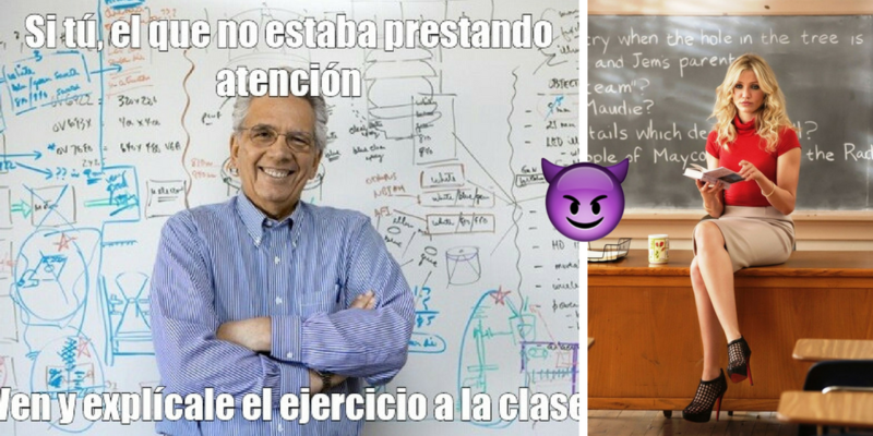 ¡Qué oso! Los profesores más listos que los alumnos