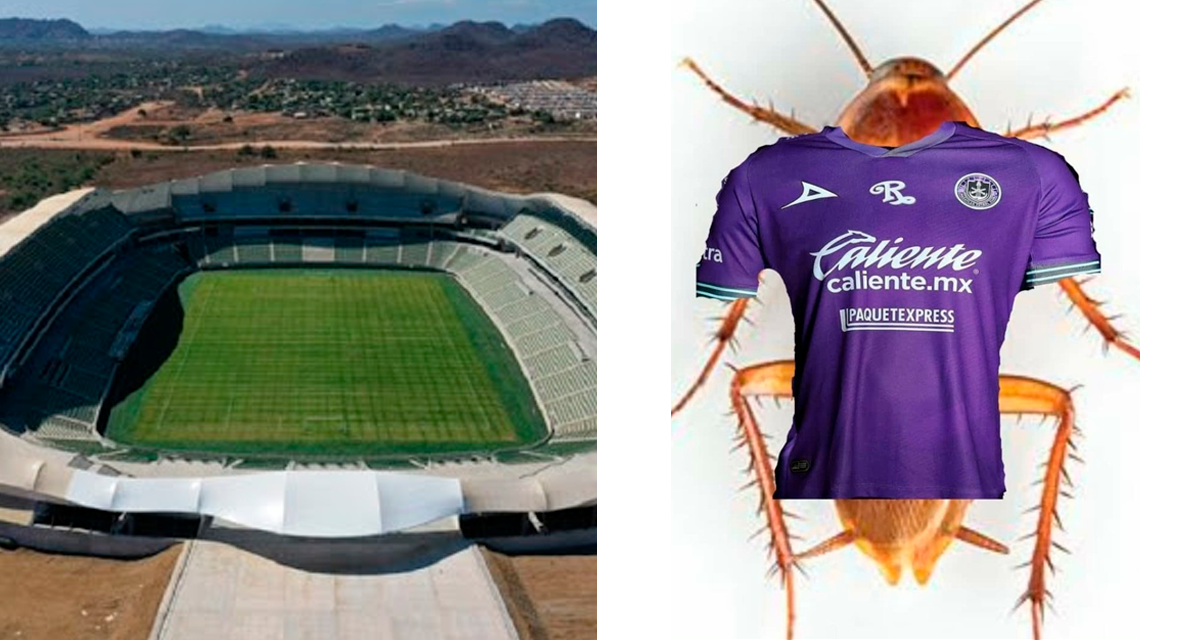 estadio kraken con cucarachas