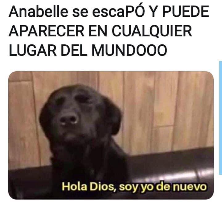 Meme Annabelle