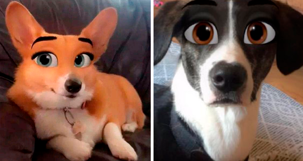 Nuevo filtro para mascotas inspirado en película de Disney