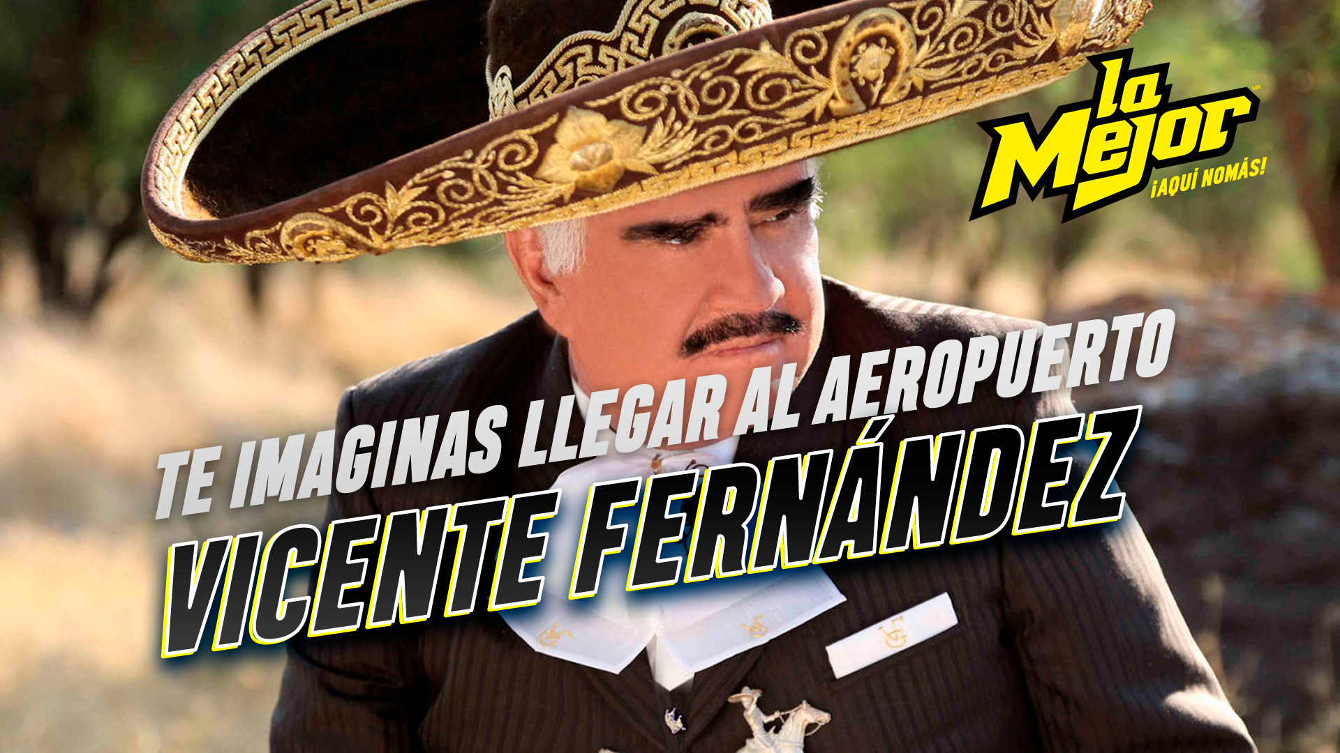 ¿Te imaginas llegar al aeropuerto Vicente Fernández?