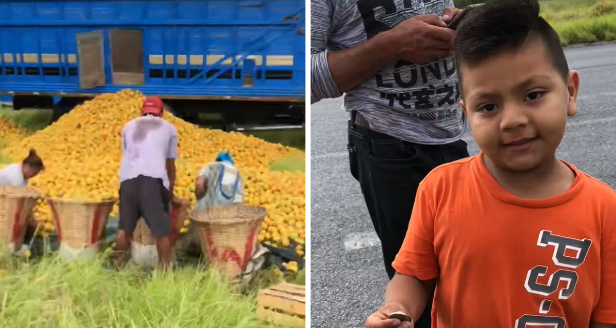 Pequeño pone el ejemplo y compró naranjas en lugar de robarlas