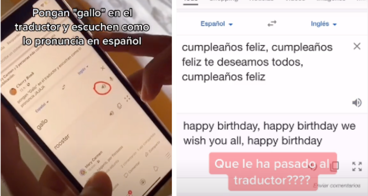 “Gallo”: El extraño sonido de Google Traductor que se ha vuelto viral