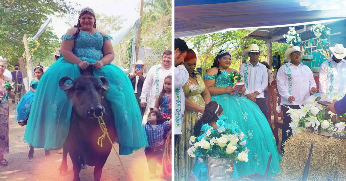 Quinceañera llega a su fiesta montada en un búfalo y se vuelve viral