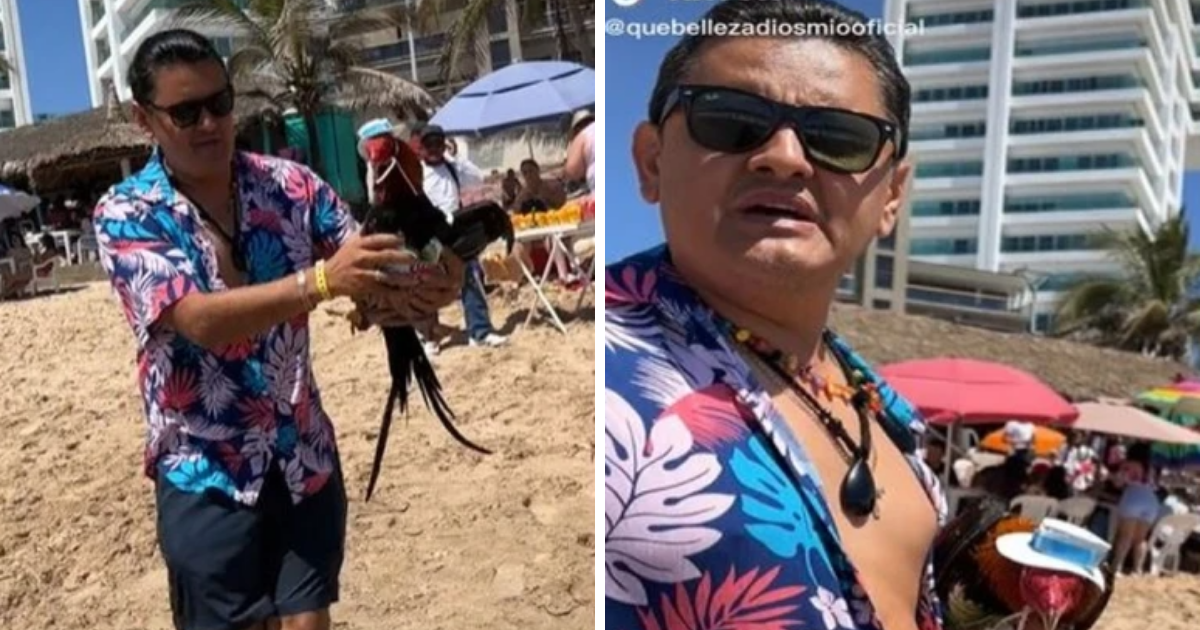 Joven lleva a su gallo de vacaciones a la playa y se vuelve viral