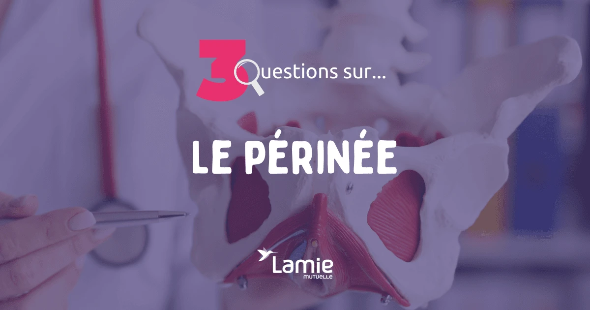 mieux connaitre le périnée
