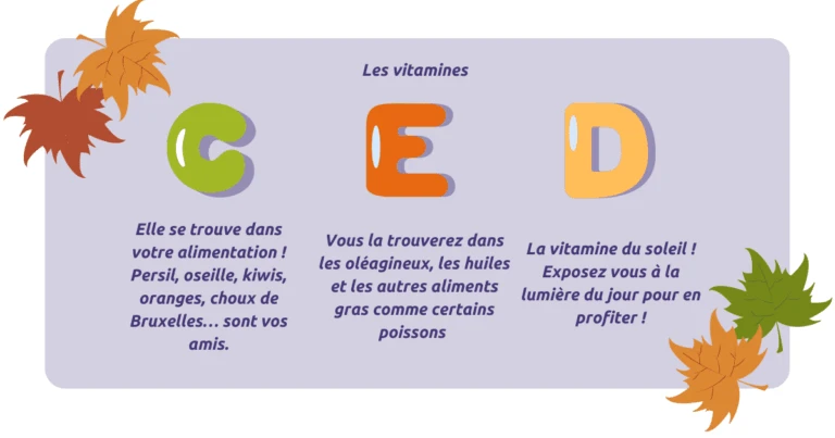 En automne, rééquilibrez votre alimentation