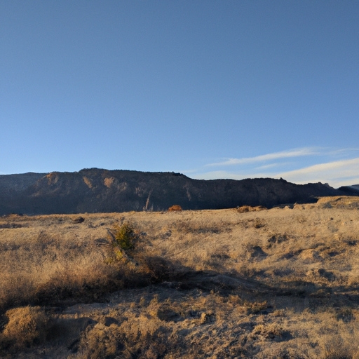 Selling land for cash in New Mexico