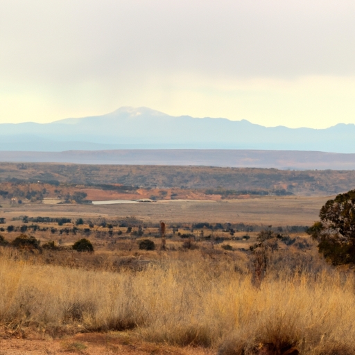 Sell land in New Mexico for cash