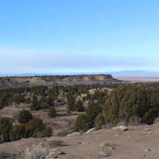 New Mexico land cash sale