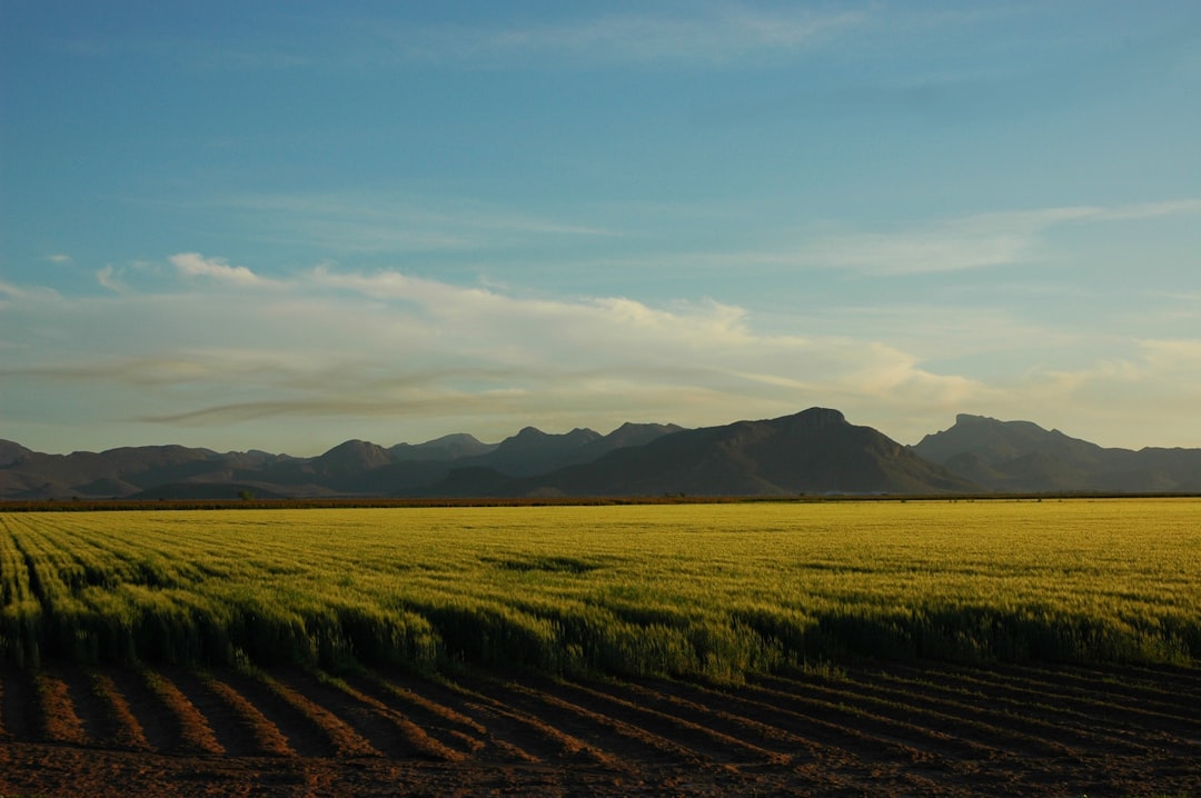 Sell land in New Mexico