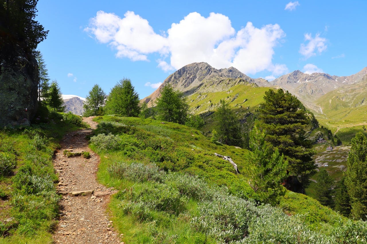 Preparing Your Land for Sale: A Guide to Selling Colorado Land for Cash