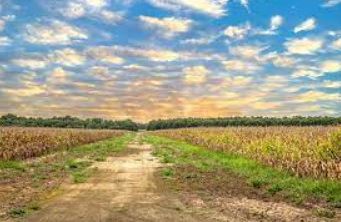 New Mexico land buyers