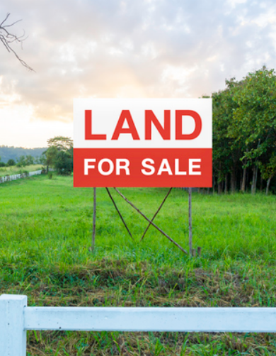 Quick cash land sale