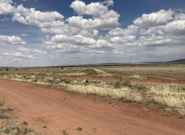 New Mexico land cash buyers