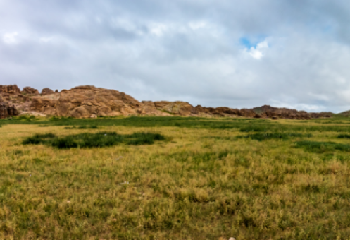 Land buyers in New Mexico