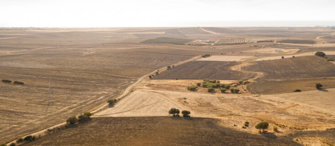 New Mexico land cash sale