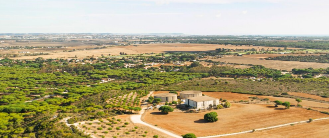 Sell land in New Mexico