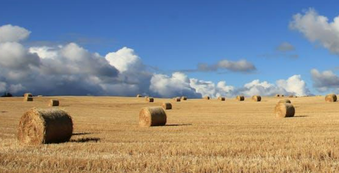 Land buyers in New Mexico