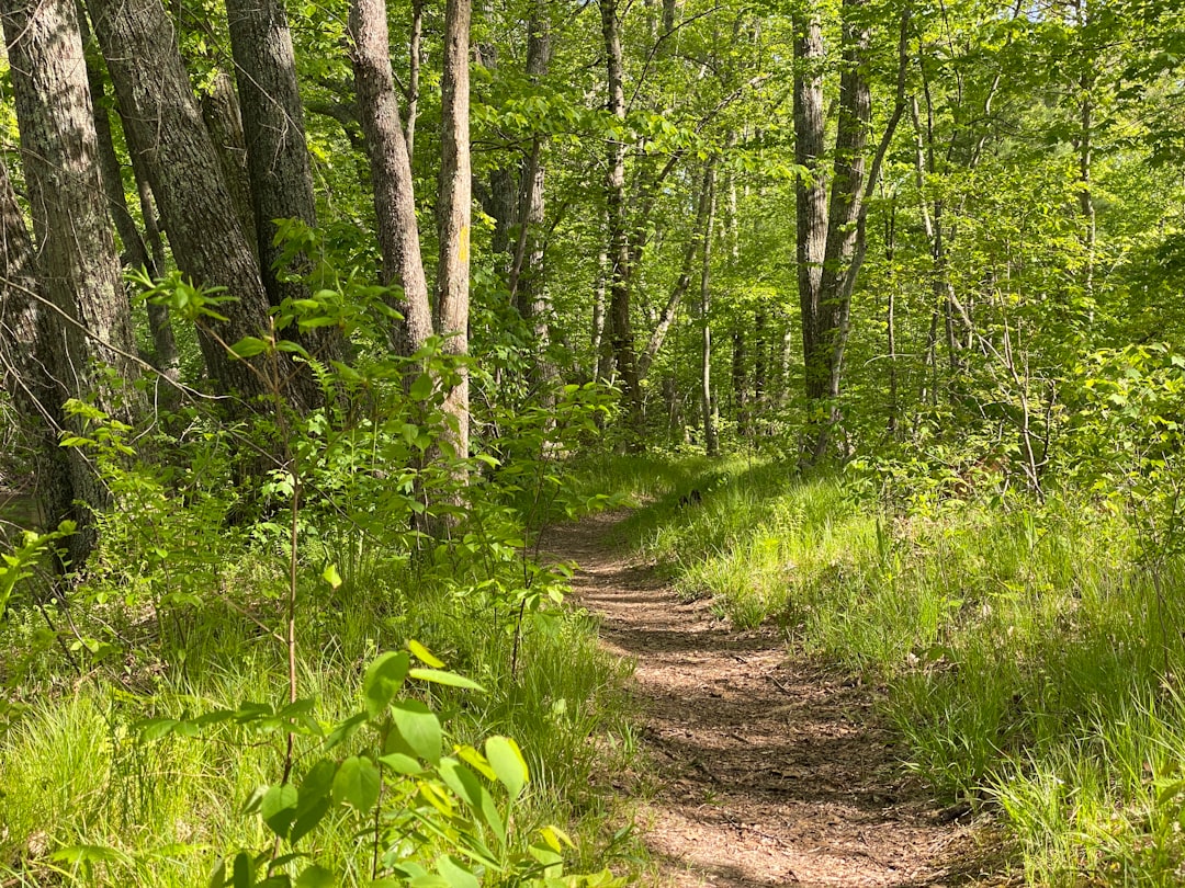 Sell Missouri land for cash