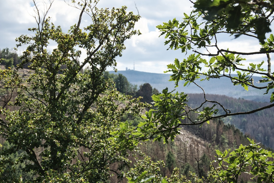 Fast cash for Wyoming land