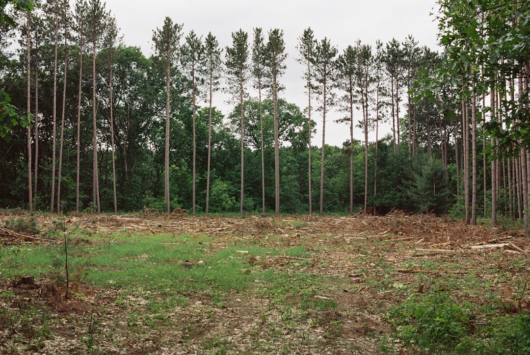 Land buyer in rural Missouri