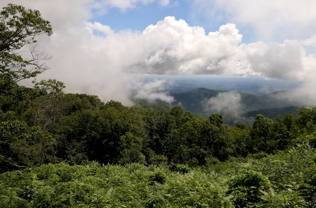 Alaska land with potential for agriculture