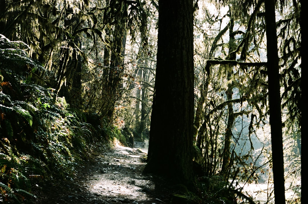 Selling mountain land in Oregon