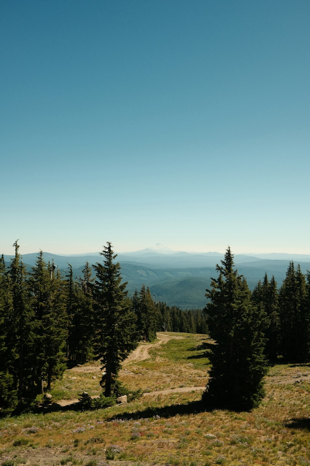 Oregon farm land for cash sale