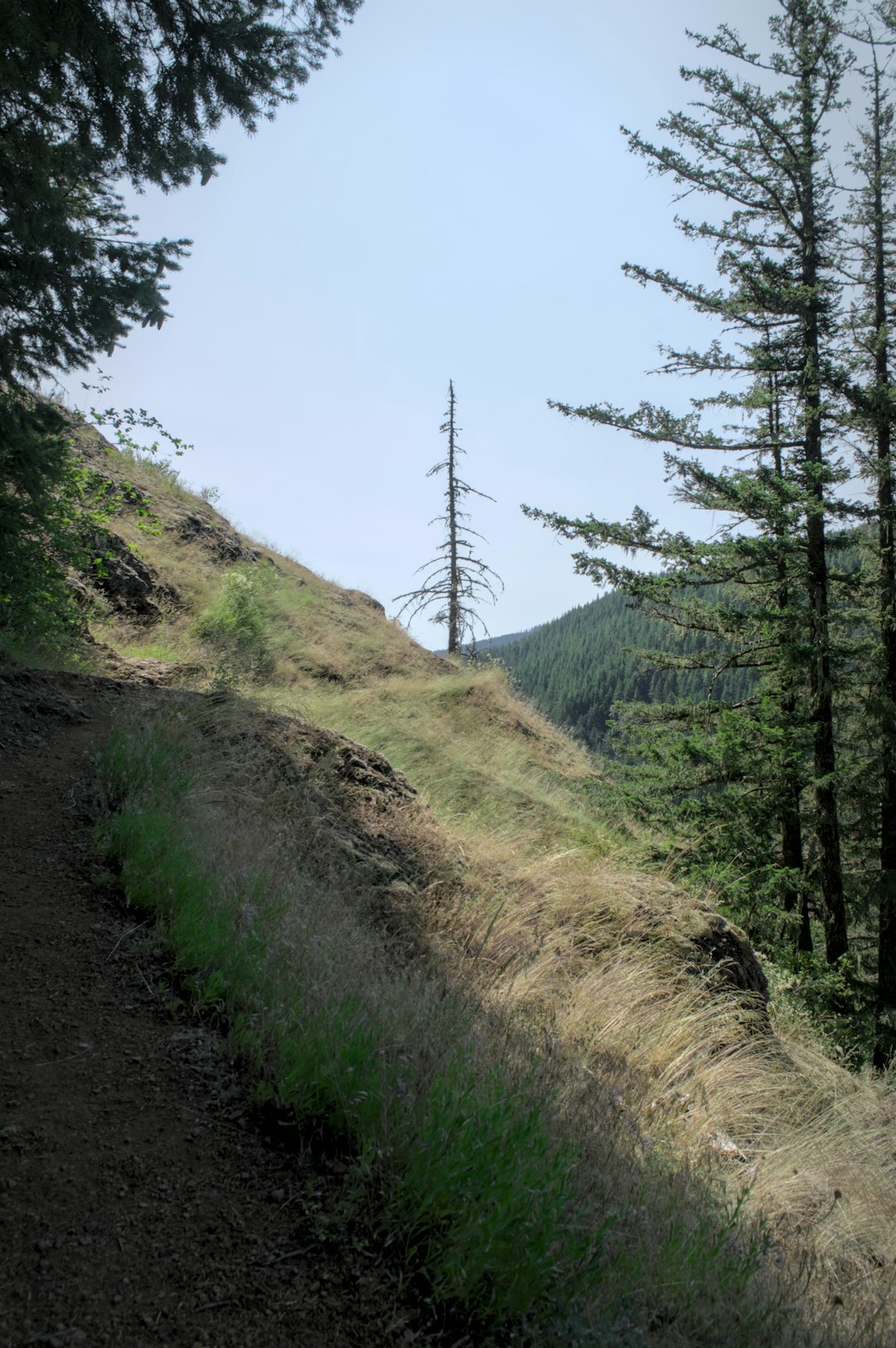 Selling mountain land in Oregon