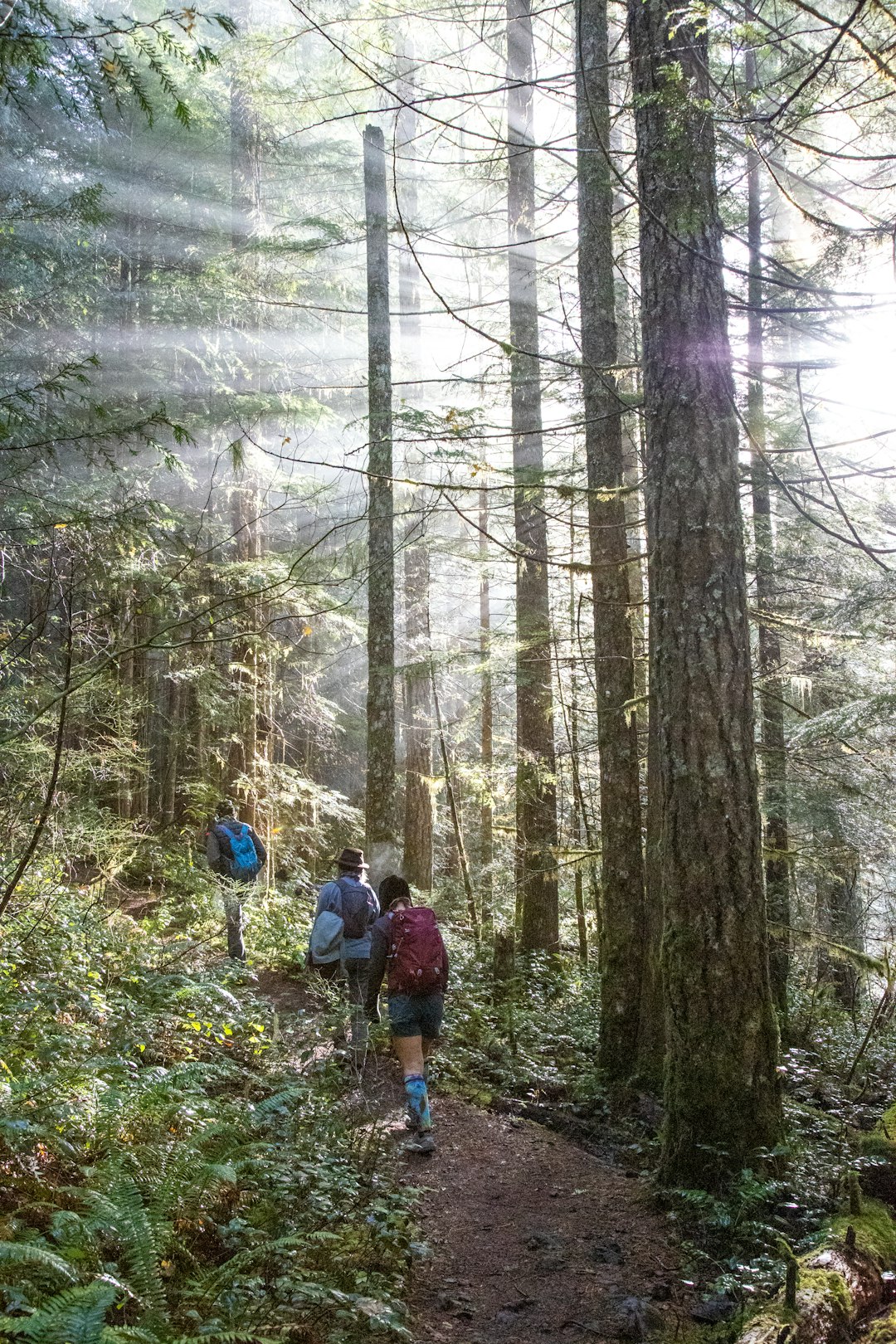 Selling forest land in Oregon