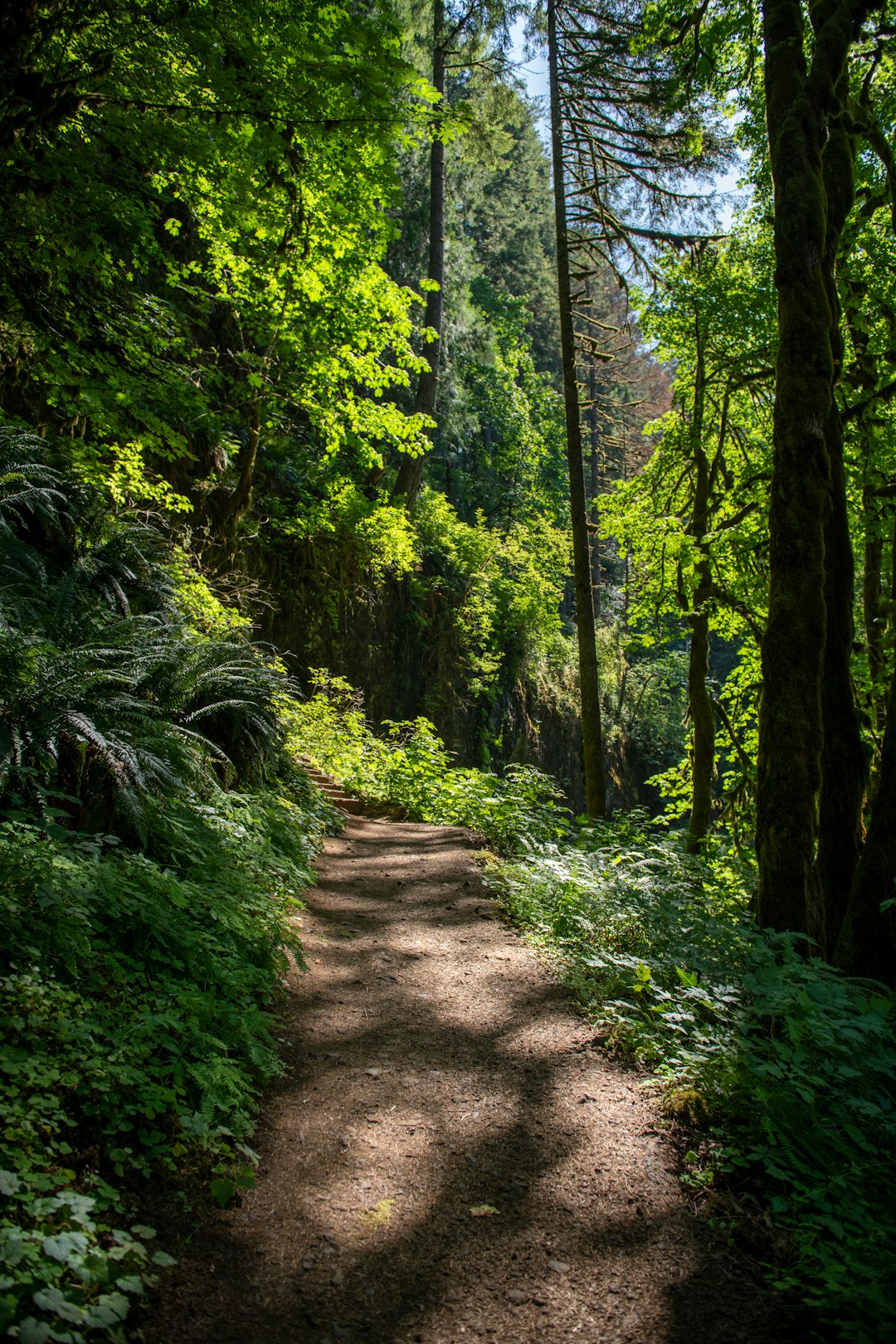 Buying land in Oregon for cash