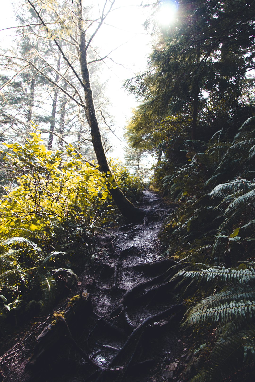 Sell hunting land in Oregon