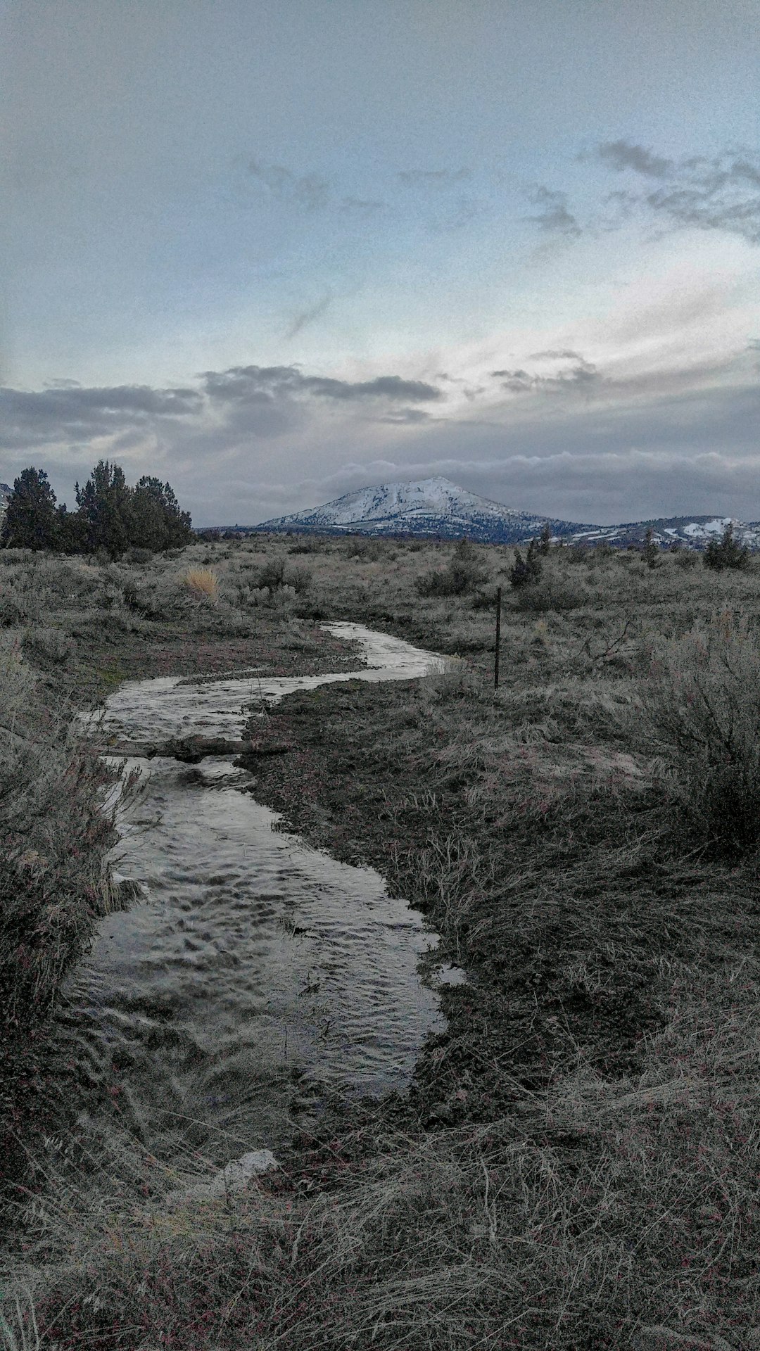 Cash for waterfront land in Oregon