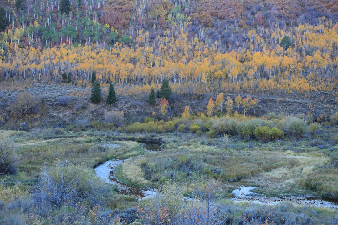 Wyoming land survey