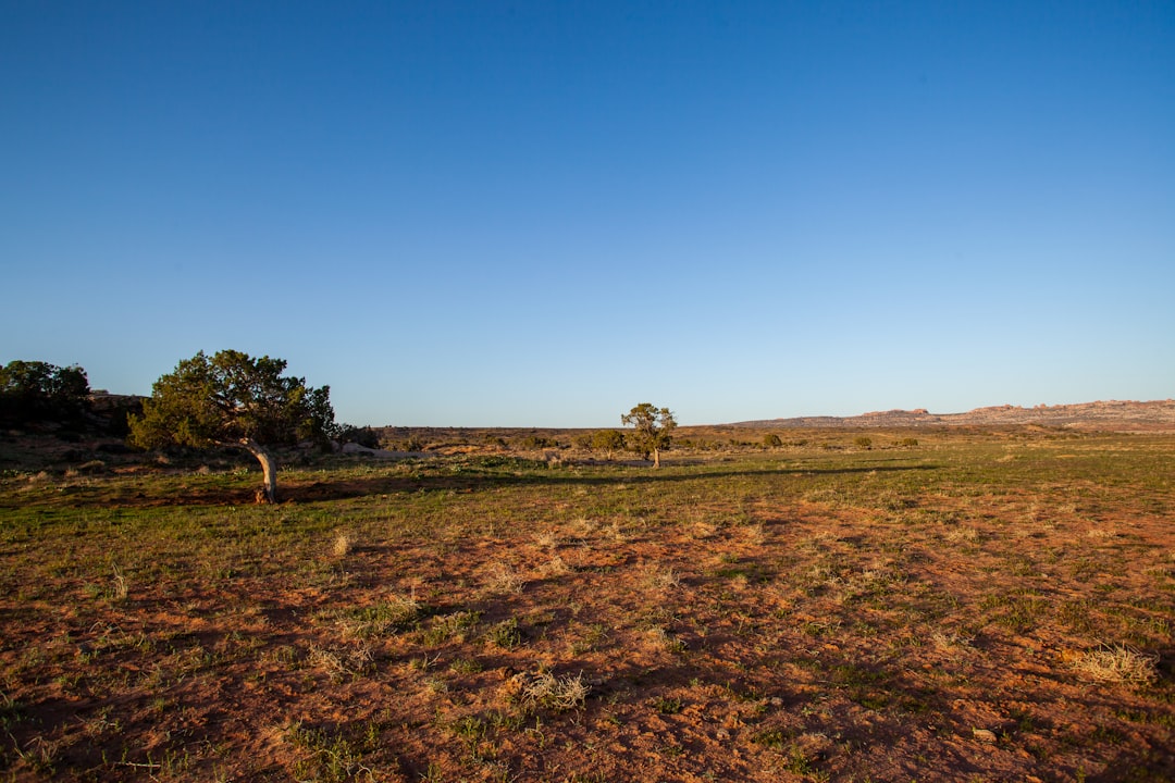 Buy Wyoming land cheap