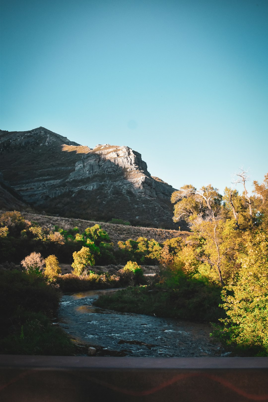 Sell Wyoming biodiversity