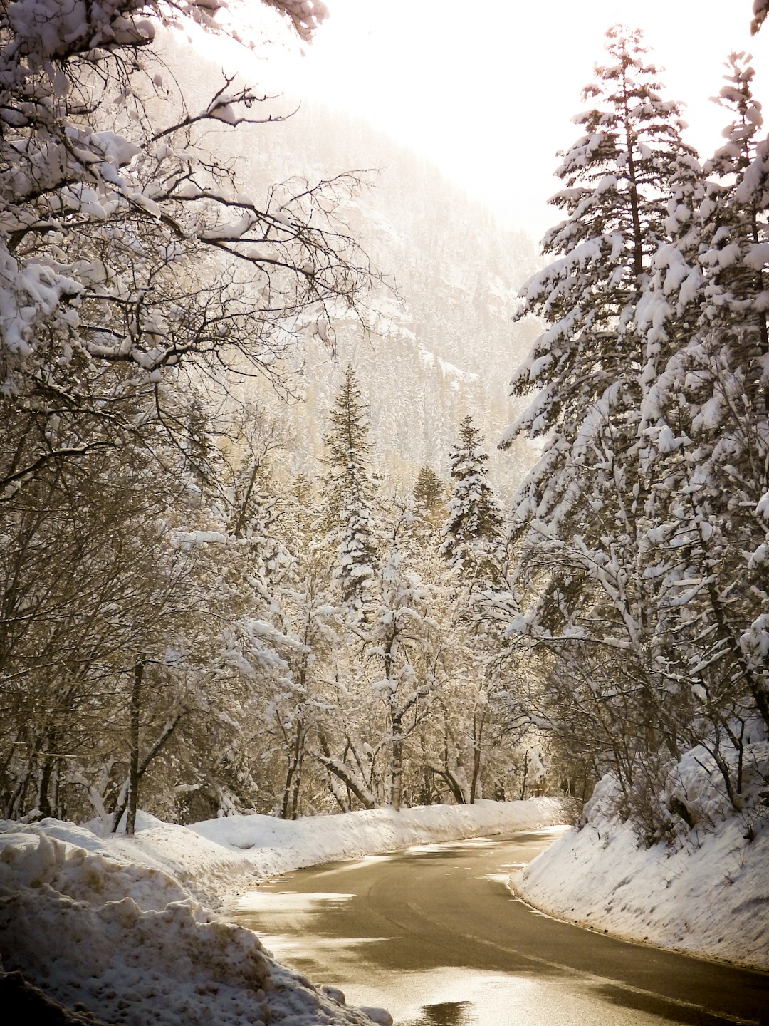 How to Sell Land in Utah for cash