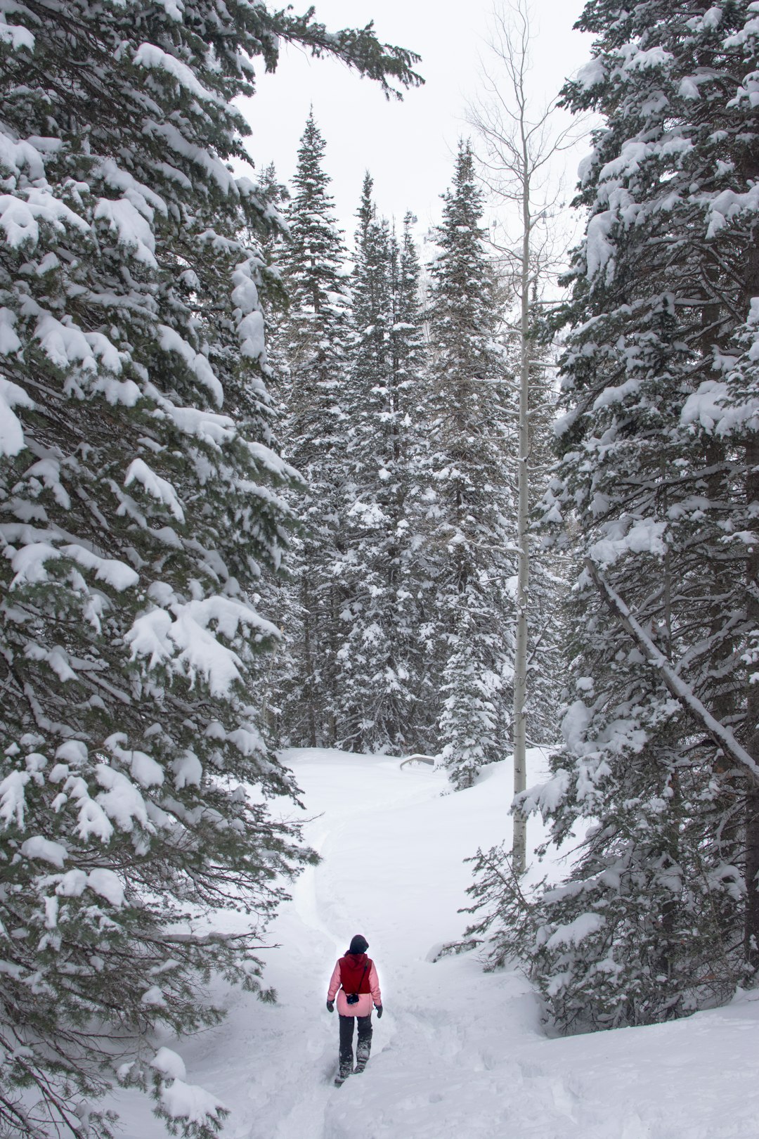 Wyoming land trust alliance