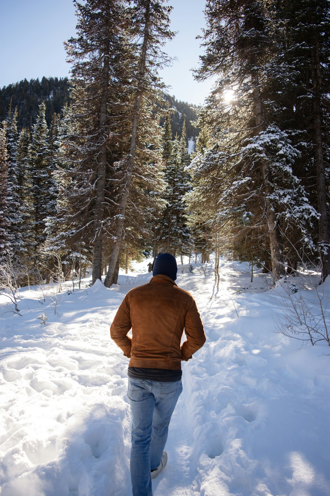 Wyoming land access permits