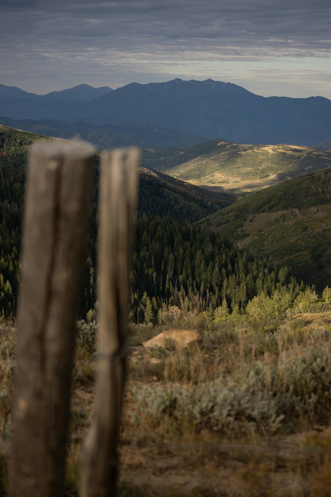 Sell damaged land for cash in Utah