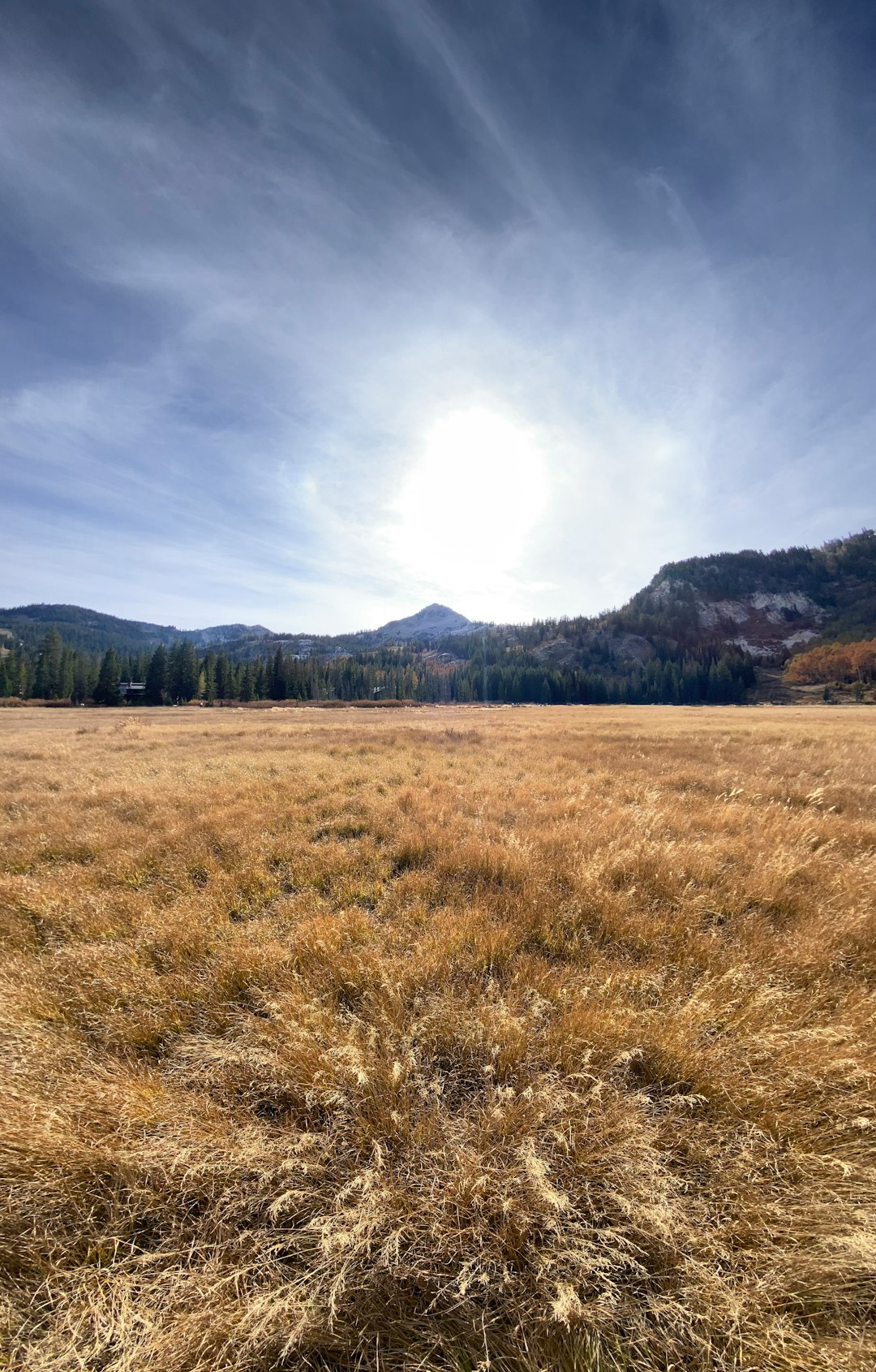 Wyoming land registry