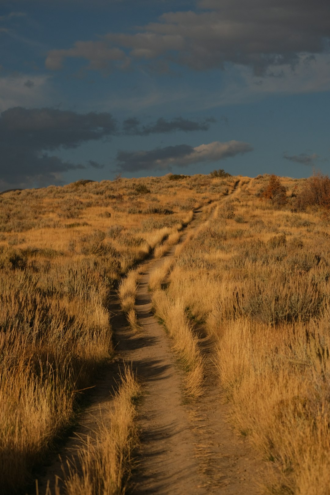 Wyoming land survey